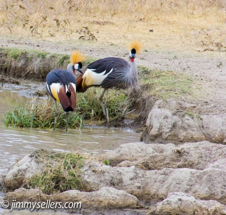 Africa-2013-2163