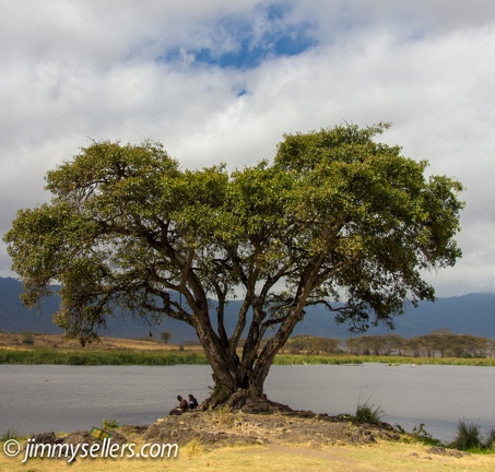 Africa-2013-2196