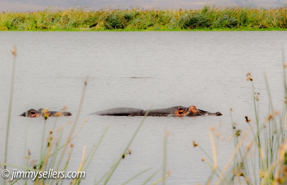Africa-2013-2205