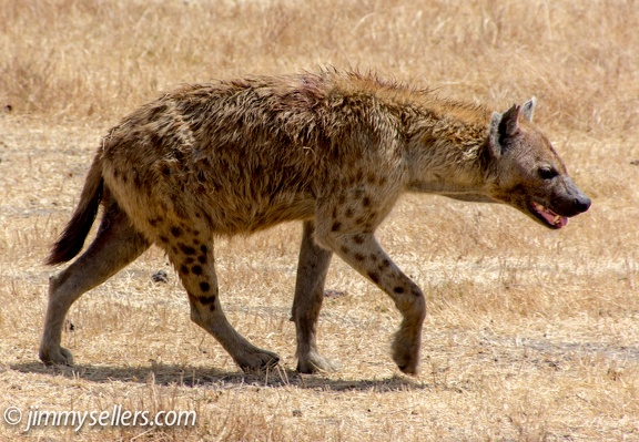 Africa-2013-2244