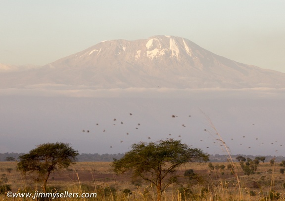 Africa-2013-2356