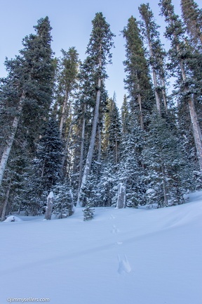 Telluride-2014-01-110