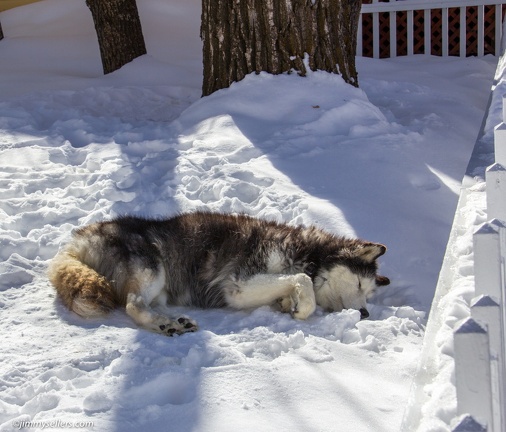 Telluride-2014-01-266