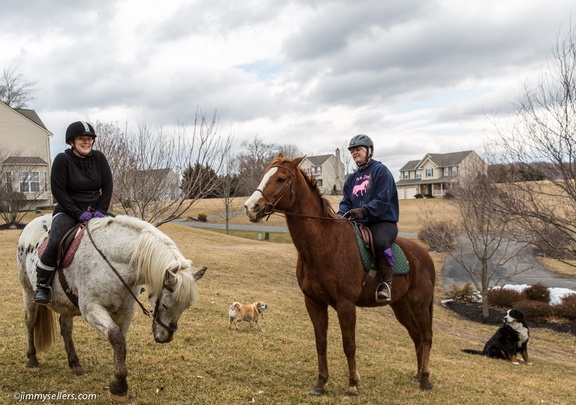 2015-03-15-Tanya-Cinnamon-Horses-2