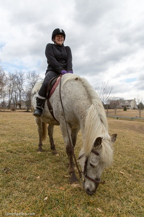 2015-03-15-Tanya-Cinnamon-Horses-8