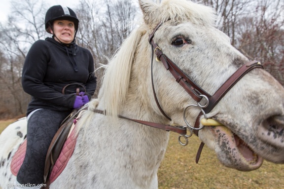 2015-03-15-Tanya-Cinnamon-Horses-33