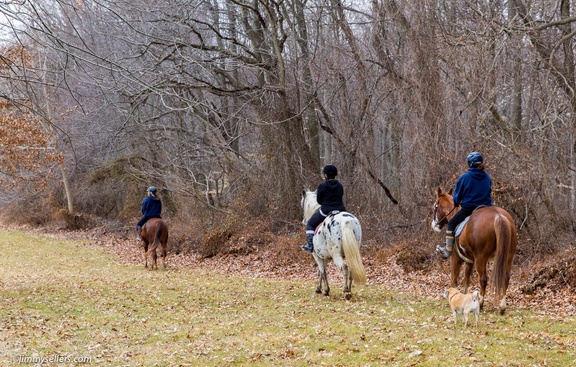 2015-03-15-Tanya-Cinnamon-Horses-66