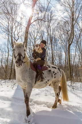 2015-03-08-Tanya-horses-dogs-woods-snow-34