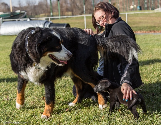 2014-12-27-Charlie-Loki-Cecil-College-44