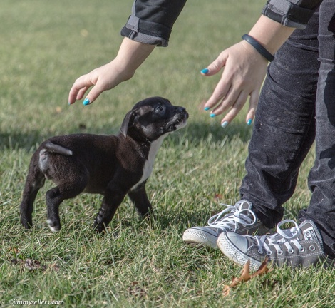 2014-12-27-Charlie-Loki-Cecil-College-48