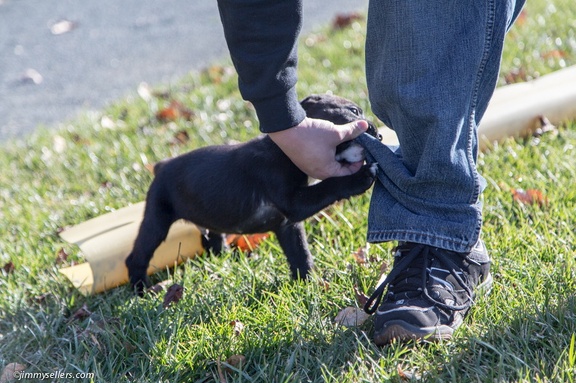 2014-12-27-Charlie-Loki-Cecil-College-77