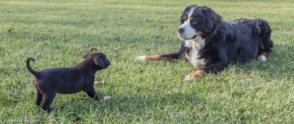 2014-12-27-Charlie-Loki-Cecil-College-127