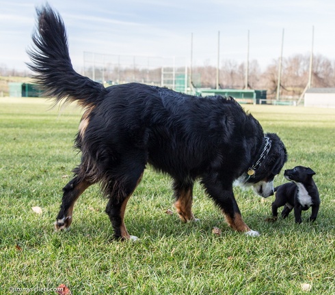 2014-12-27-Charlie-Loki-Cecil-College-145