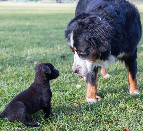 2014-12-27-Charlie-Loki-Cecil-College-150