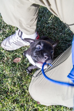 2014-12-27-Charlie-Loki-Cecil-College-190