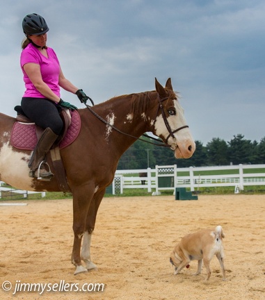 2014-05-21-Tanya-Blue-Horse-50