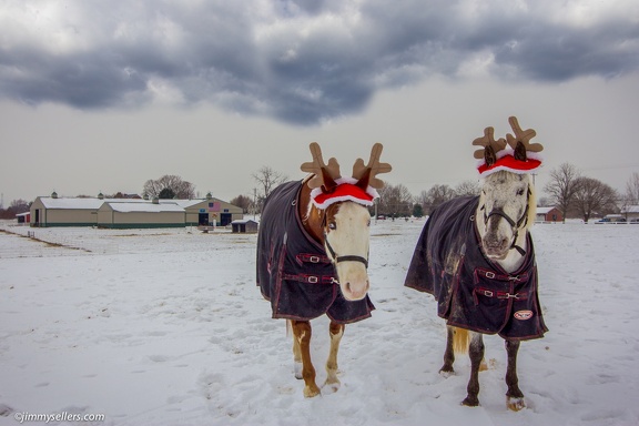 Tanya-Santa-Horses-2013-12-14-edit-with-clouds