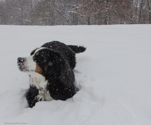 Charlie-Snow-2013-12-08-318