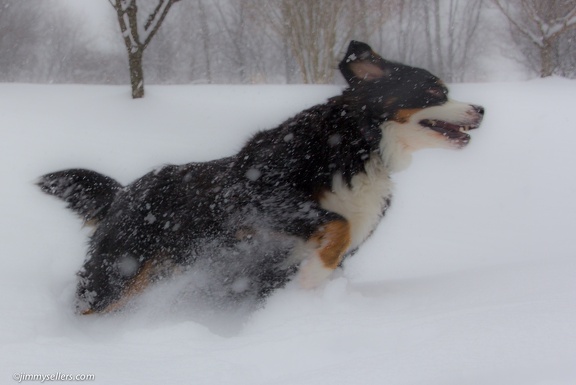 Charlie-Snow-2013-12-08-323