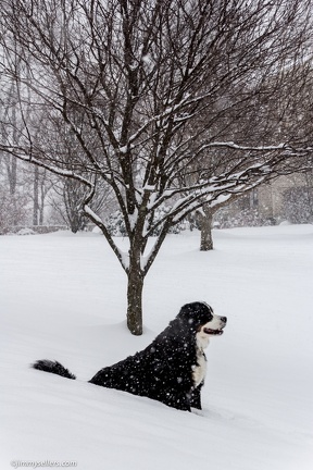 Charlie-Snow-2013-12-08-355