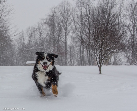 Charlie-Snow-2013-12-08-389