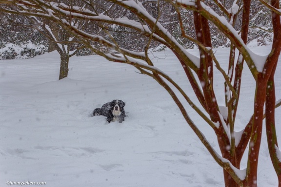 Charlie-Snow-2013-12-08-431