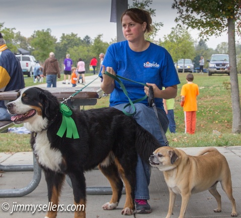 Wag-n-Walk-2013-055