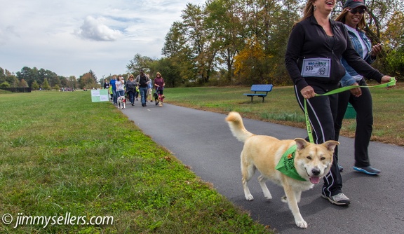 Wag-n-Walk-2013-056