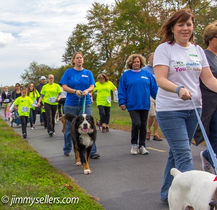 Wag-n-Walk-2013-064