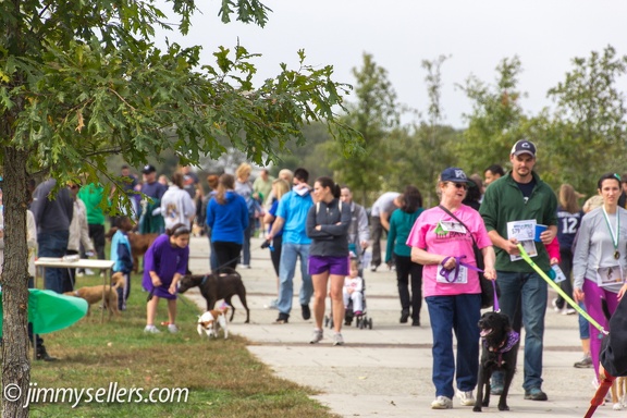 Wag-n-Walk-2013-103