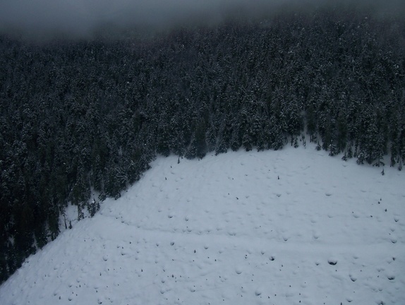 Winter-Carnival-2012-Revelstoke-Helicopter-March-117