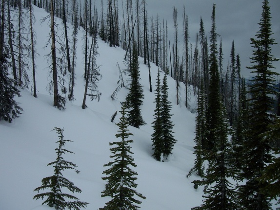 Winter-Carnival-2012-Revelstoke-Helicopter-March-129