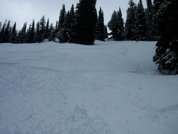 Winter-Carnival-2012-Revelstoke-Helicopter-March-137