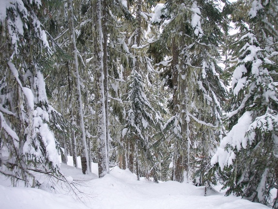 Winter-Carnival-2012-Whistler-Blackcomb-March-3