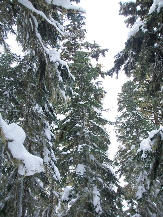 Winter-Carnival-2012-Whistler-Blackcomb-March-4