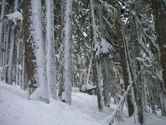 Winter-Carnival-2012-Whistler-Blackcomb-March-5