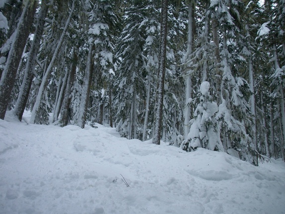 Winter-Carnival-2012-Whistler-Blackcomb-March-6