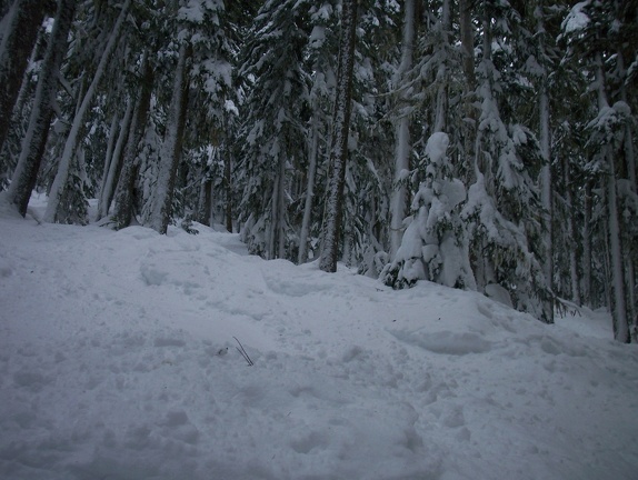 Winter-Carnival-2012-Whistler-Blackcomb-March-8