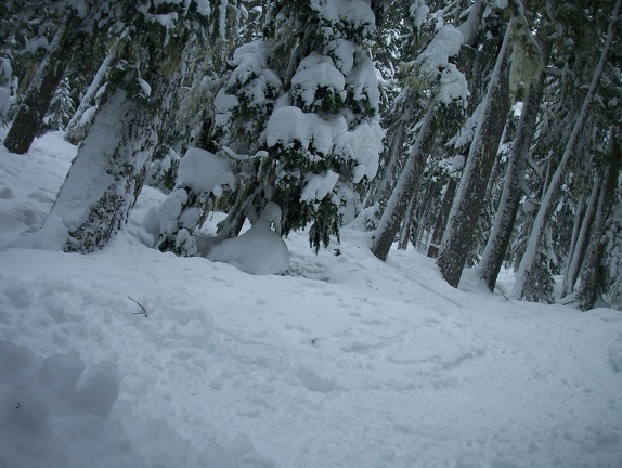 Winter-Carnival-2012-Whistler-Blackcomb-March-9