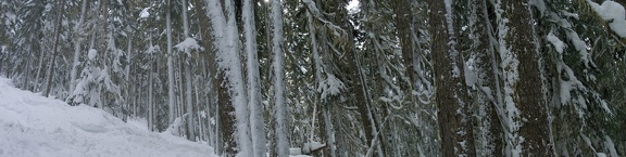 Winter-Carnival-2012-Whistler-Blackcomb-March-11