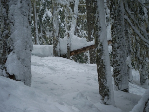 Winter-Carnival-2012-Whistler-Blackcomb-March-12