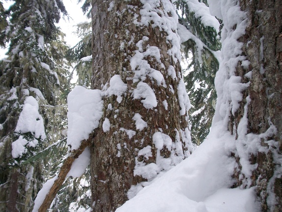 Winter-Carnival-2012-Whistler-Blackcomb-March-13