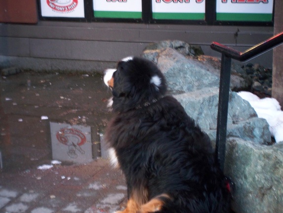 Winter-Carnival-2012-Whistler-Blackcomb-March-19