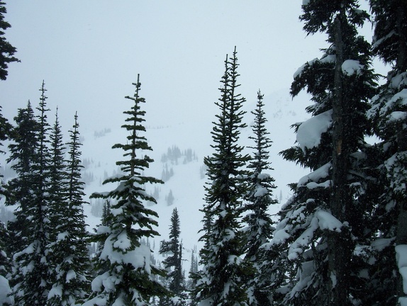 Winter-Carnival-2012-Whistler-Blackcomb-March-69