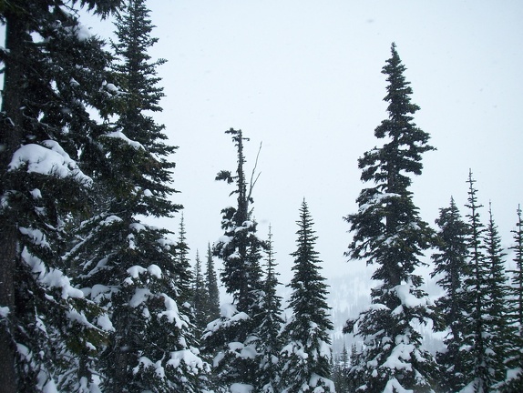 Winter-Carnival-2012-Whistler-Blackcomb-March-70