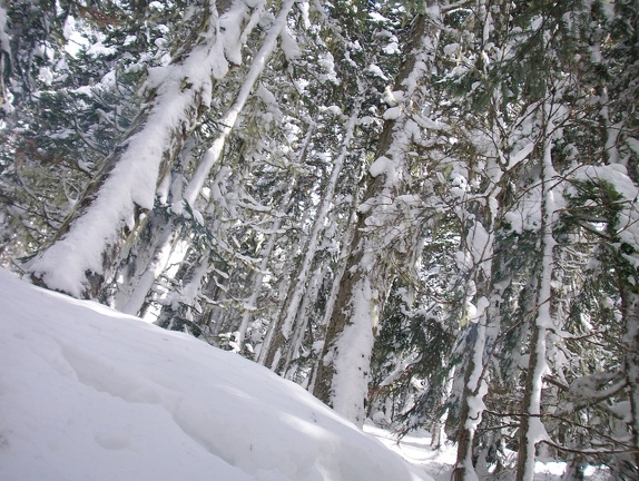 Winter-Carnival-2012-Whistler-Blackcomb-March-110