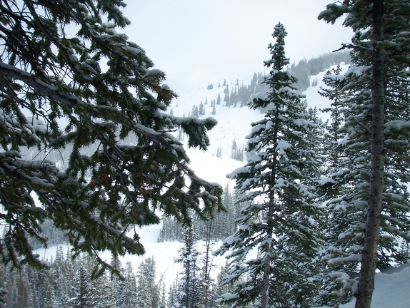 Winter-Carnival-2012-Crested-Butte-February-22