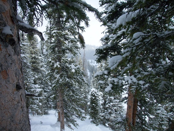 Winter-Carnival-2012-Crested-Butte-February-23