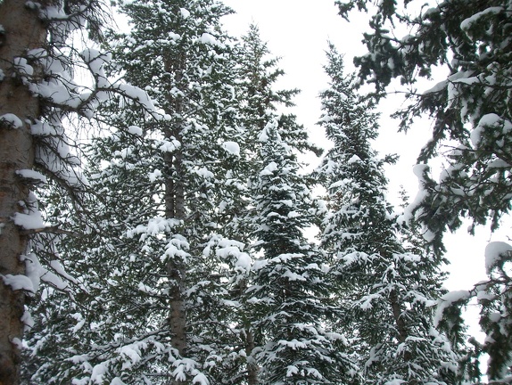 Winter-Carnival-2012-Telluride-February-54