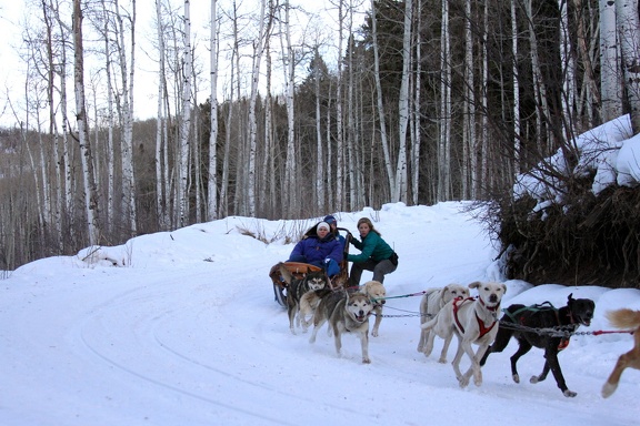 Winter-Carnival-2012-Aspen-Dog-Sled-3